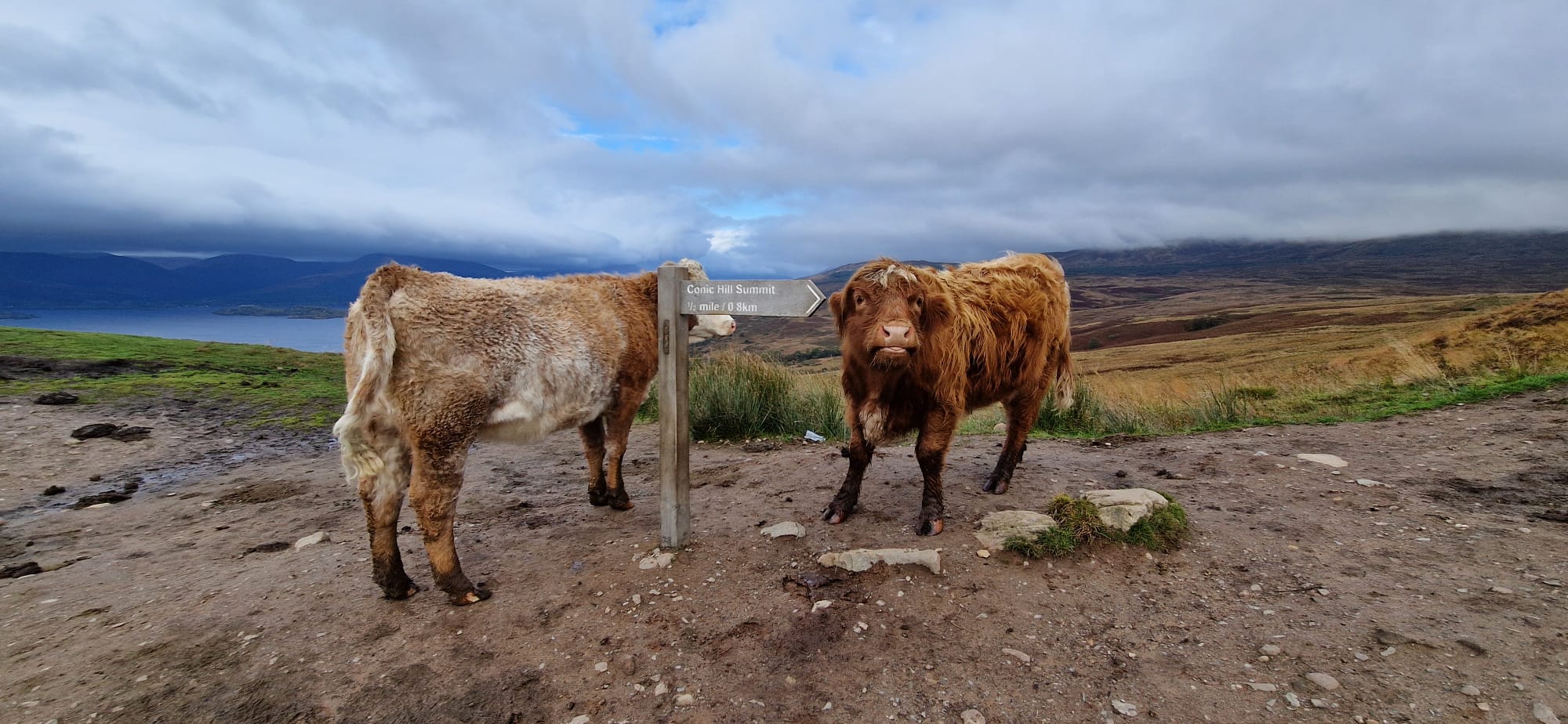 Mags: West Highland Way Self Guided Trek 7 Day