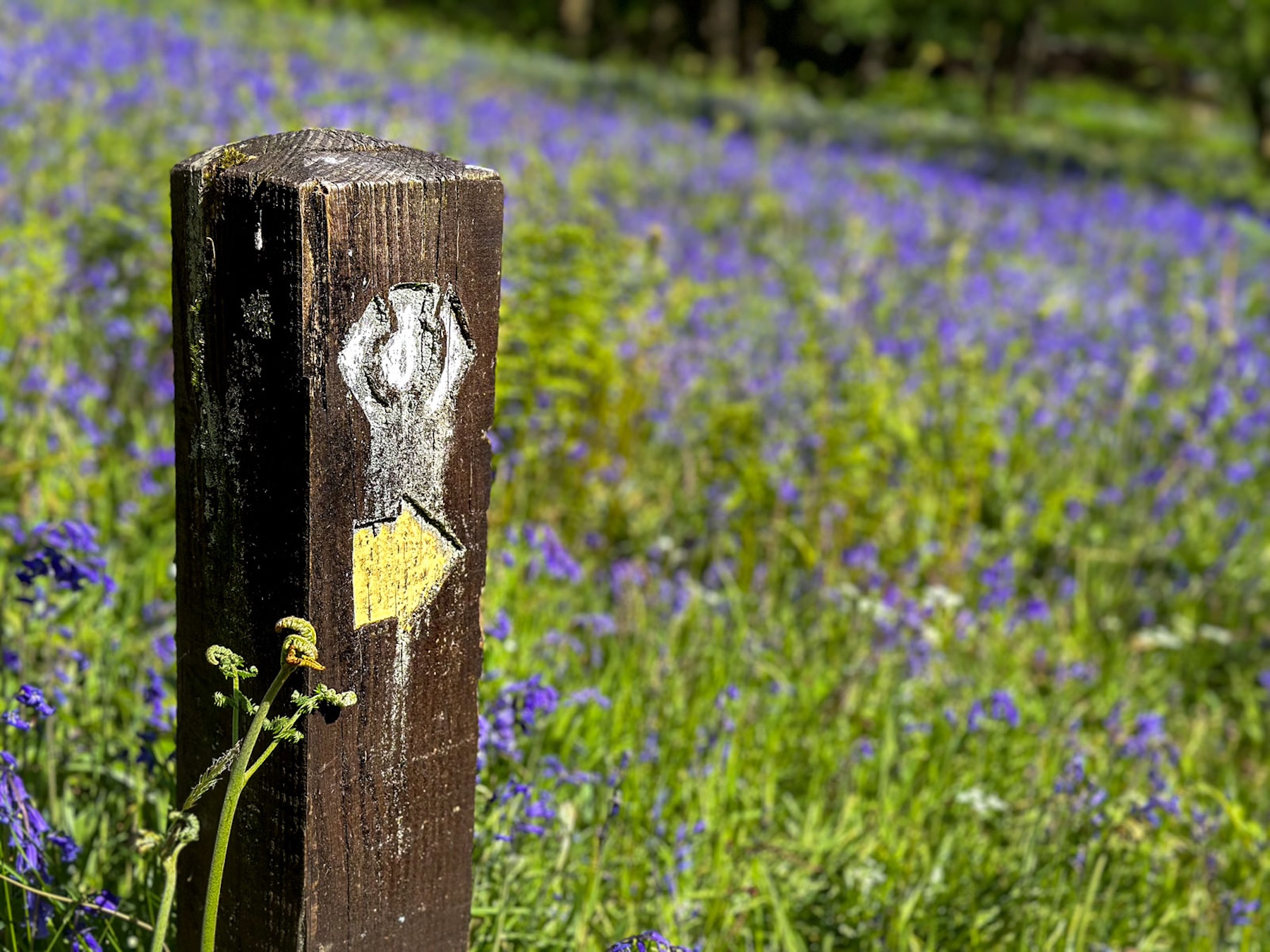 Mags: West Highland Way Self Guided Trek 7 Day