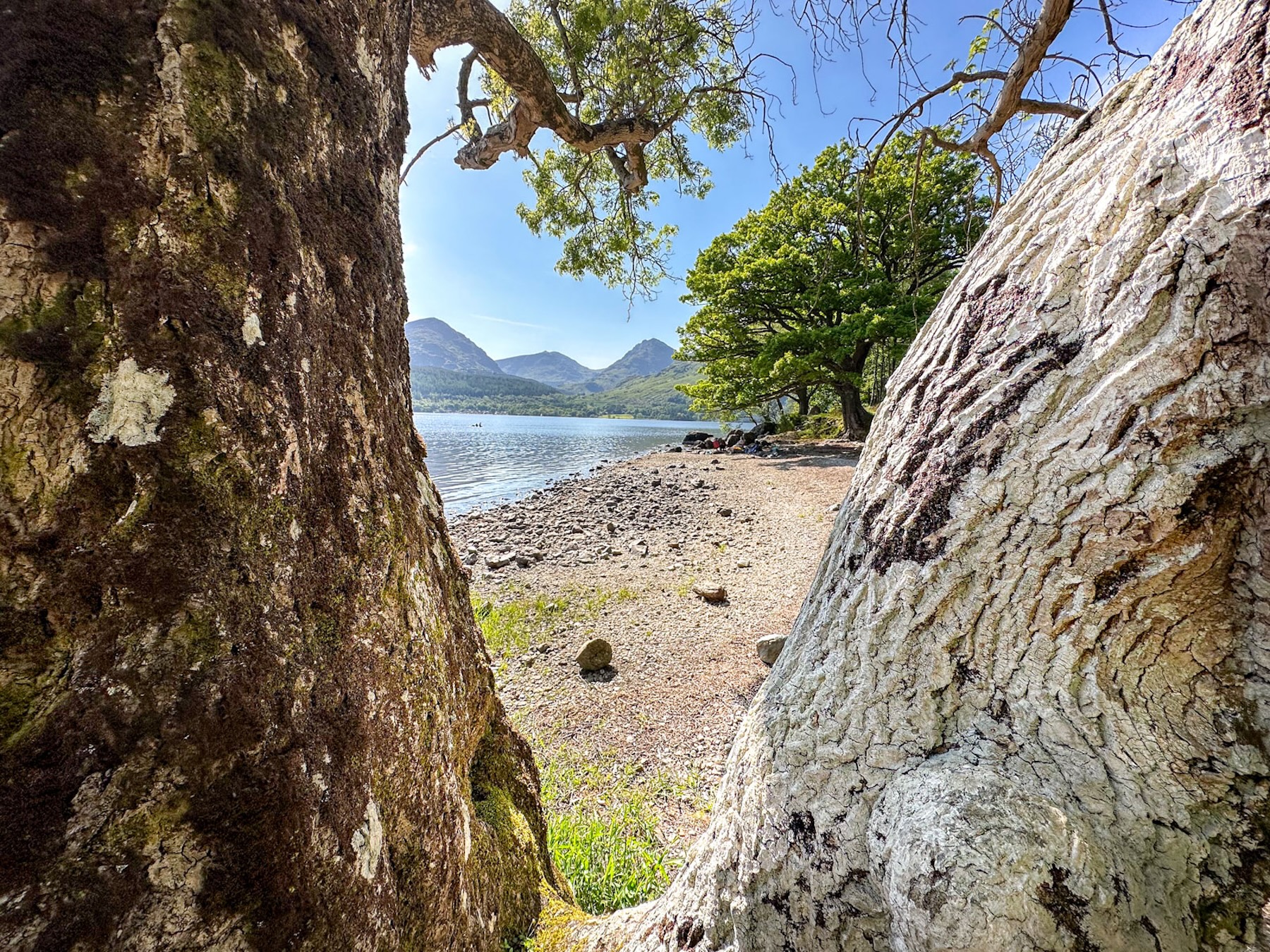 Mags: West Highland Way Self Guided Trek 7 Day