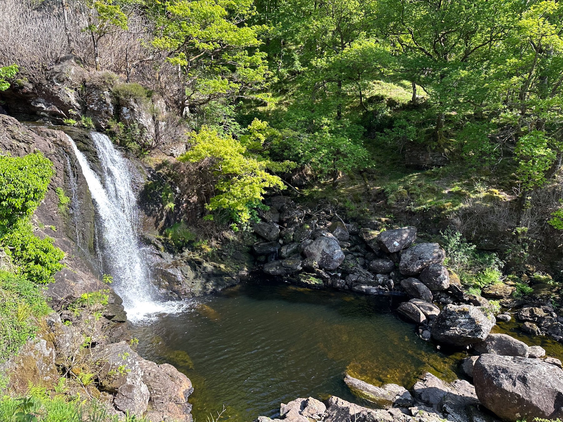 Mags: West Highland Way Self Guided Trek 7 Day