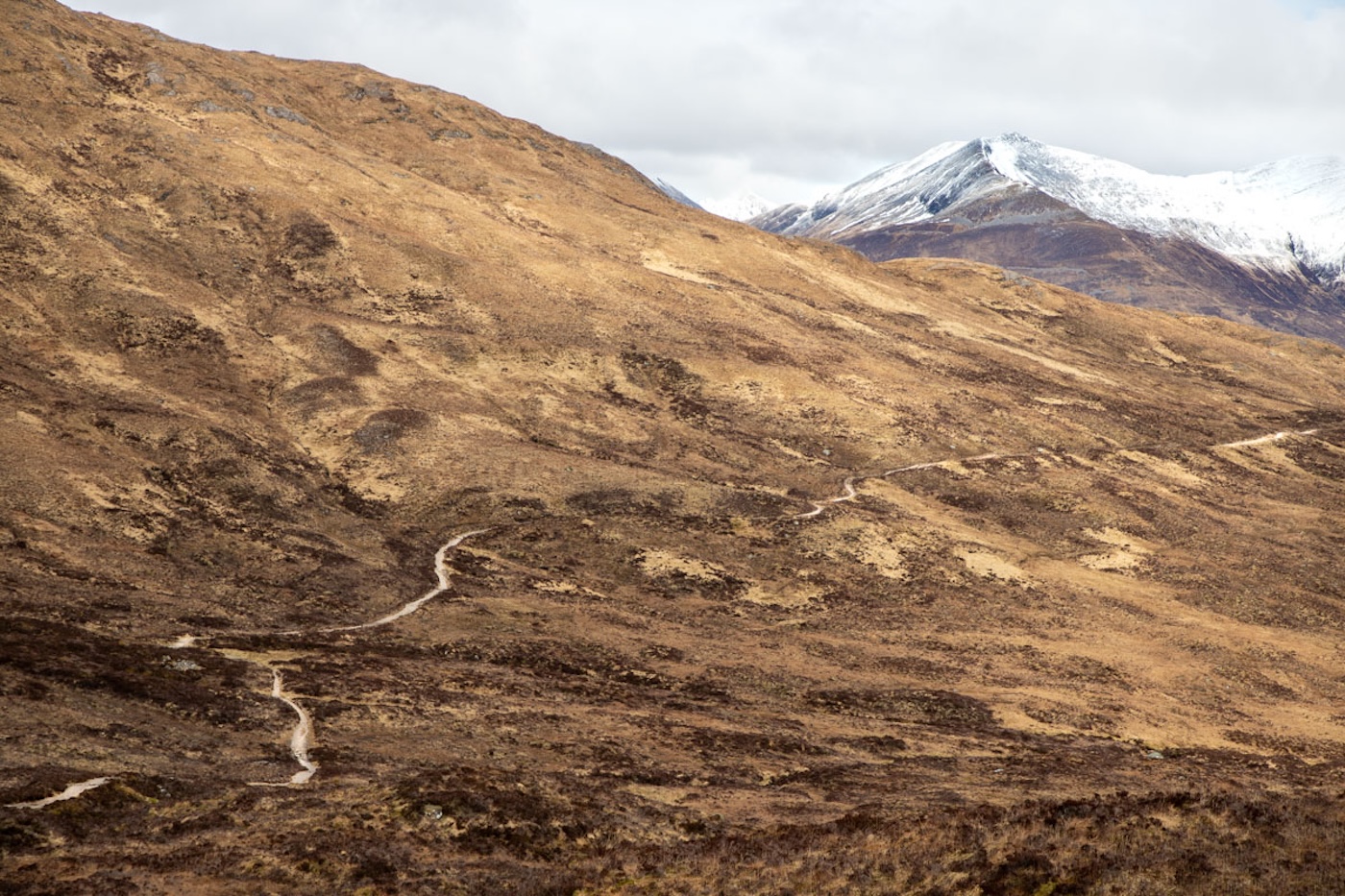 Mags: West Highland Way Self Guided Trek 7 Day