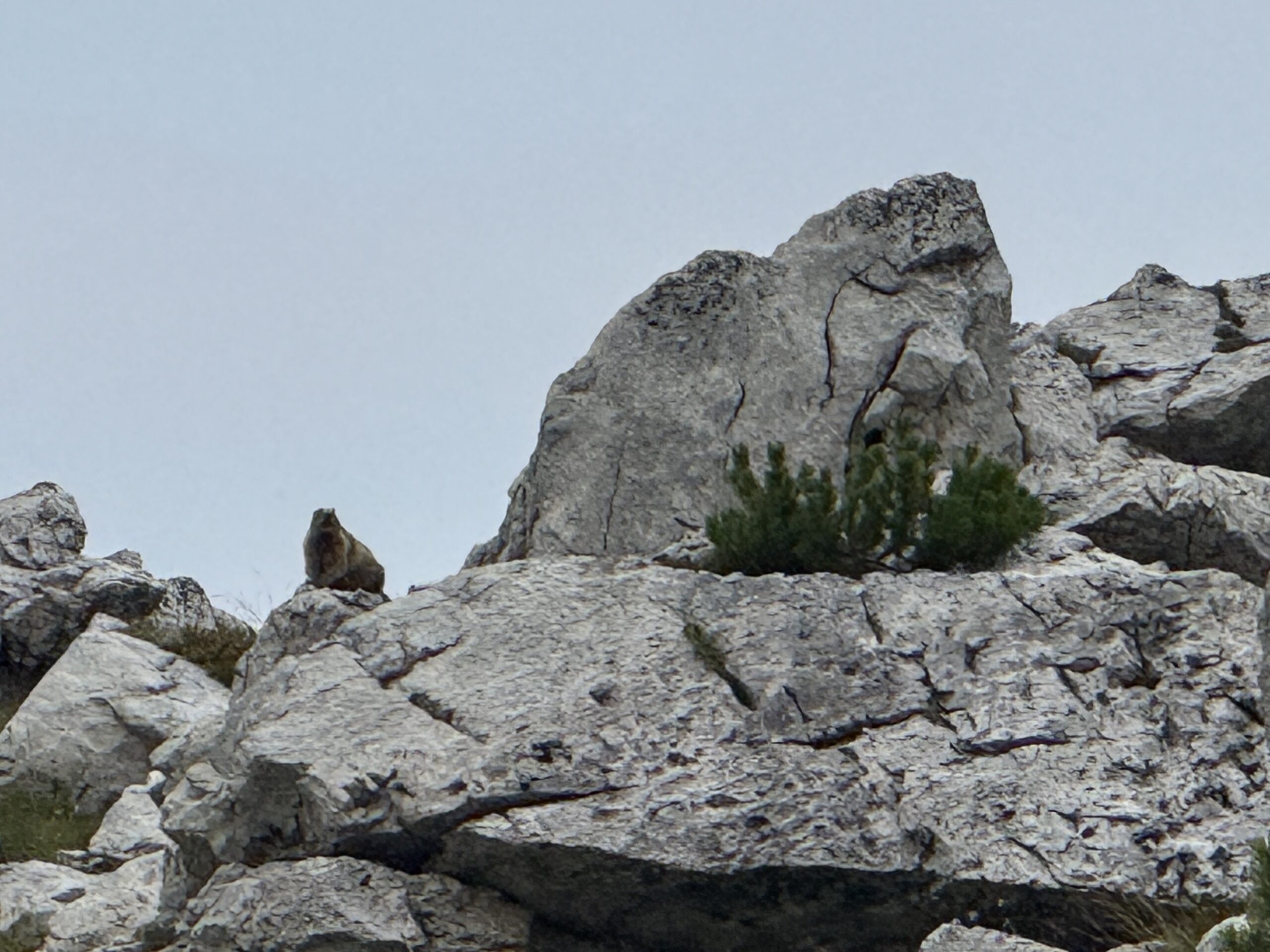 Dolomites Alta Via 1 8 Days Guided