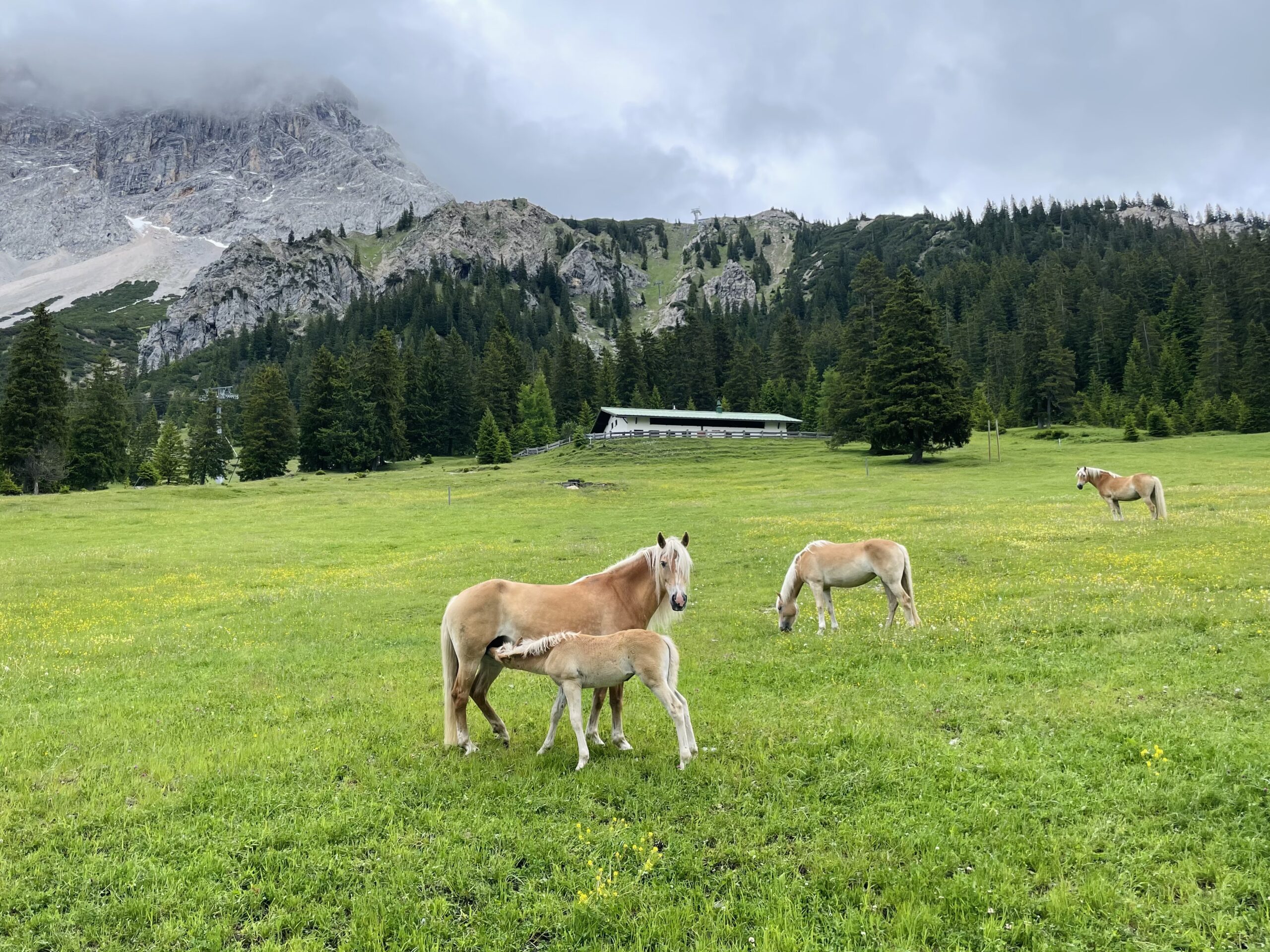 The Zugspitze Circuit 4 Days Self Guided