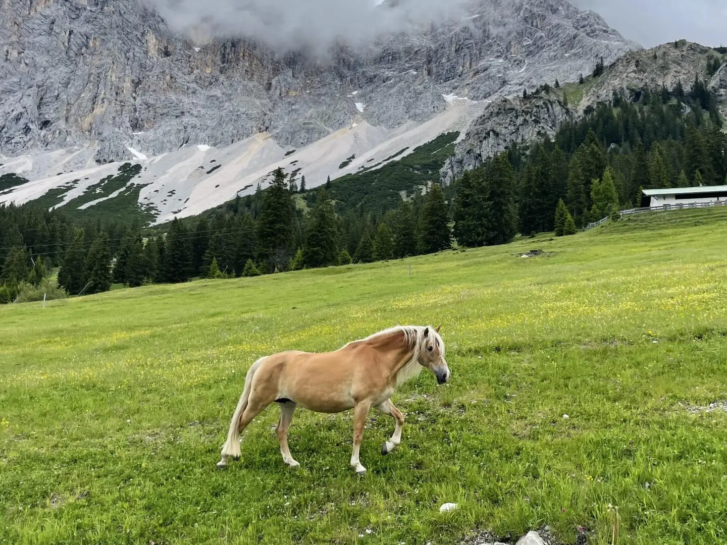 Karwendel to Zugspitze Traverse 6 Days Self Guided