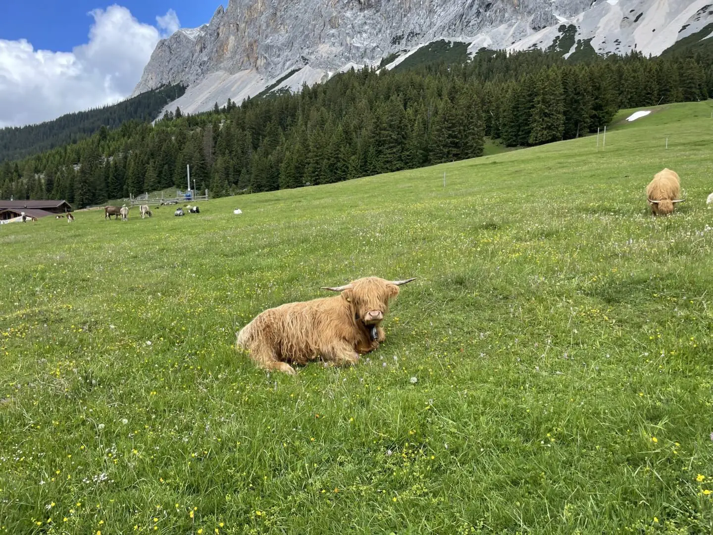 Karwendel to Zugspitze Traverse 6 Days Self Guided